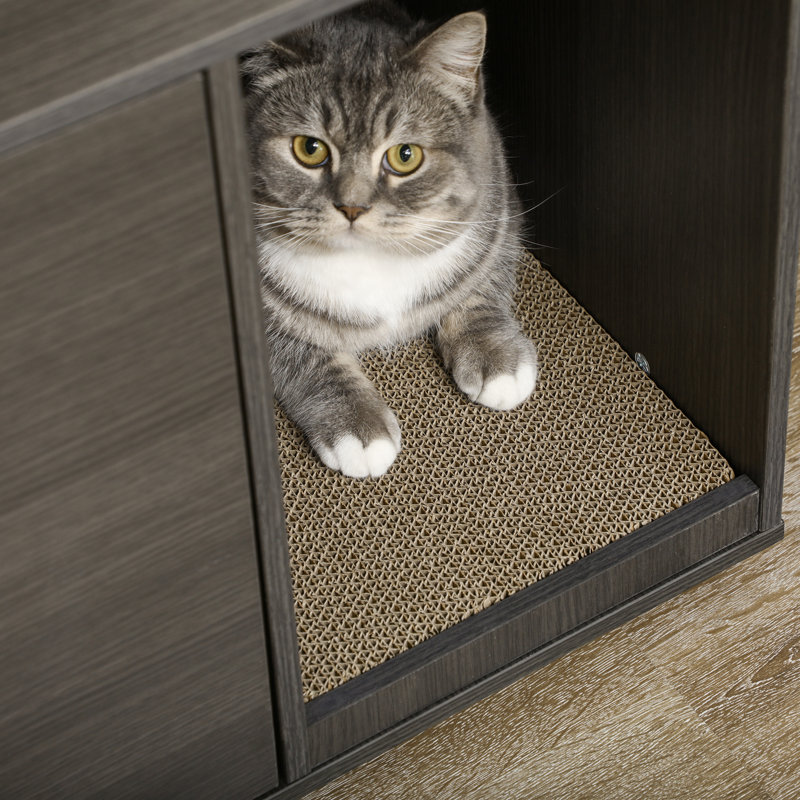 Cat litter box in bedroom outlet